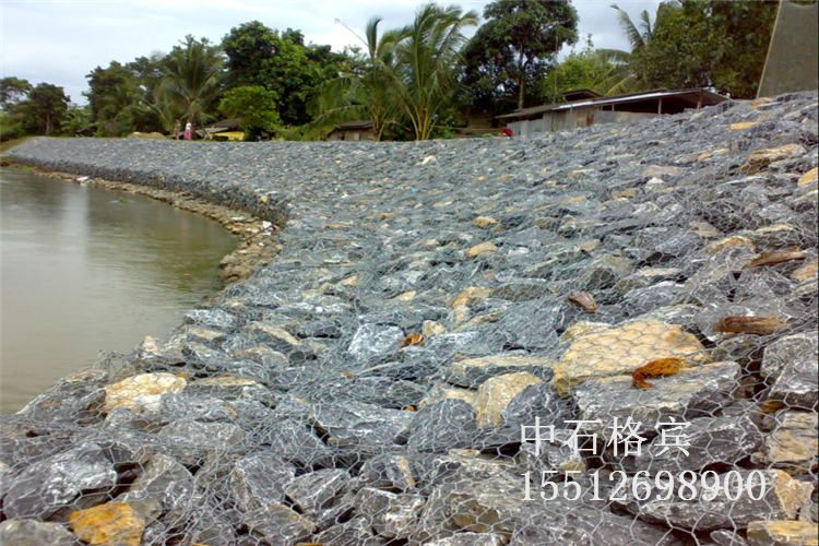 河邊護墊.png 河邊護墊.png