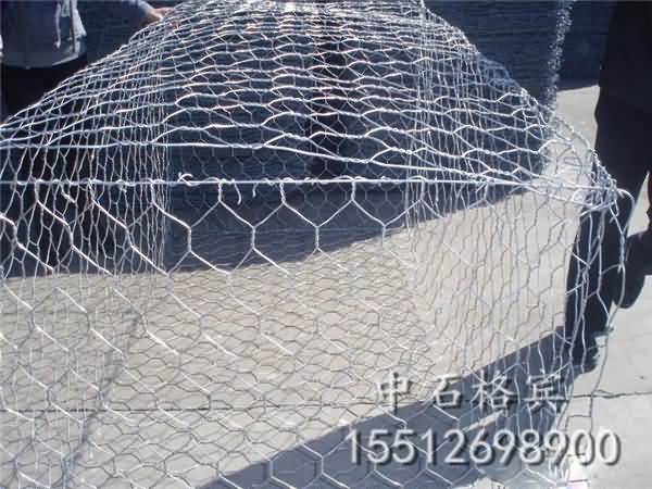 IMG110305132507656612.jpg IMG110305132507656612.jpg