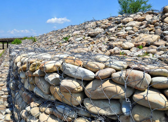 10生態(tài)固角.jpg 10生態(tài)固角.jpg